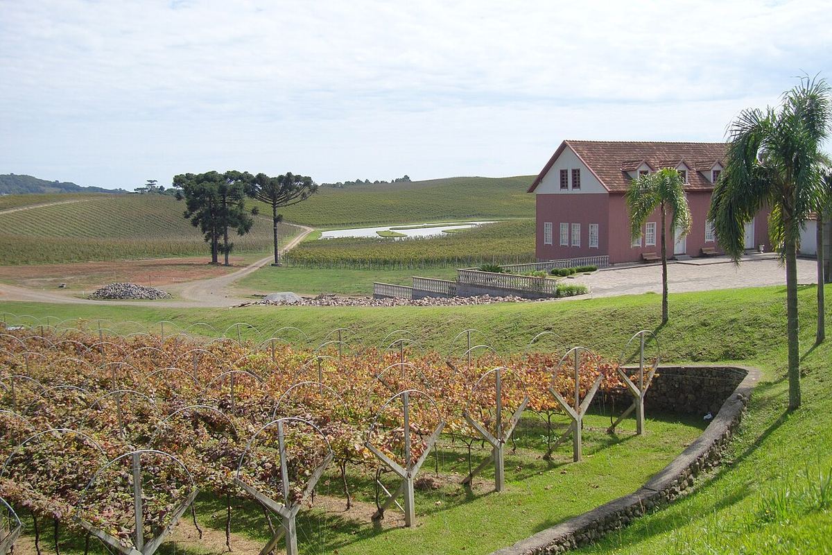 São Roque